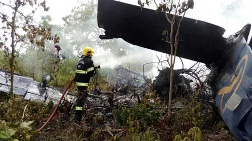 Aeronave pegou fogo logo após a queda (Foto: Divulgação/Corpo de Bombeiros)