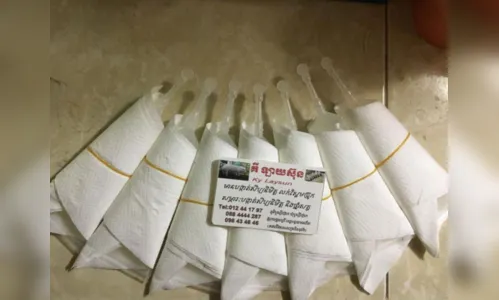
							Camboja cria porcos da raça Durok geneticamente modificados; (vídeo)
						
						