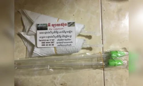 
							Camboja cria porcos da raça Durok geneticamente modificados; (vídeo)
						
						