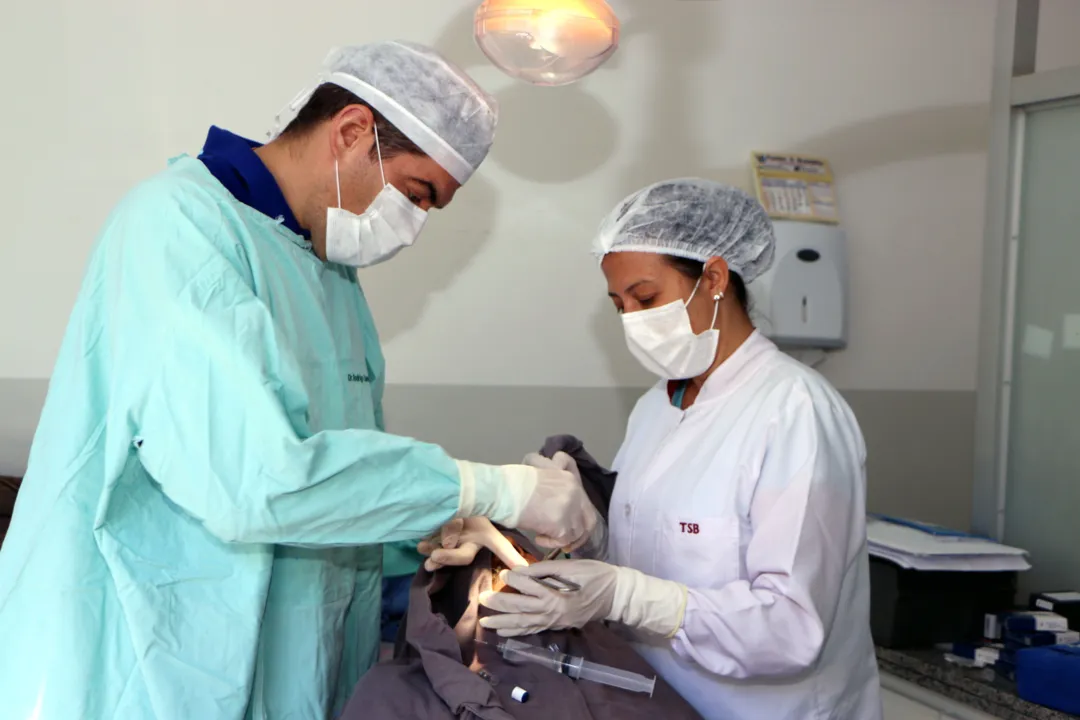 Implante dentário da AMS já atende 28 municípios