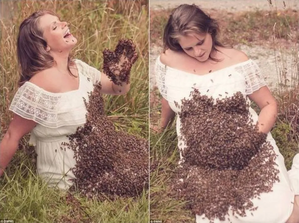 Emily Mueller posou para ensaio com 20 mil abelhas na barriga - Foto: Reprodução/SWNS