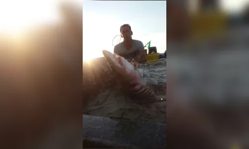 
							Pescador é surpreendido ao capturar tubarão de 150 kg 'sem querer' 
						
						
