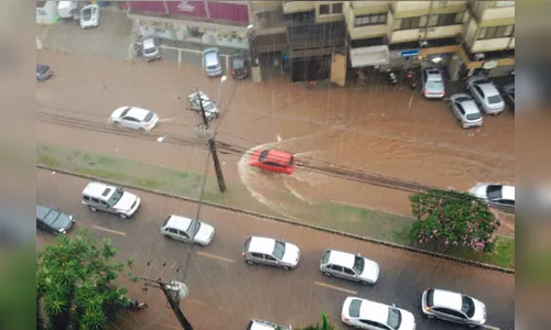 Temporal provoca quedas de árvores e alaga ruas em Londrina