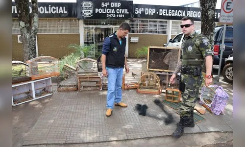 Polícia Ambiental apreende 20 aves e prende 3 pessoas em Ivaiporã