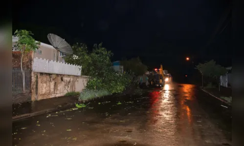 
							Vendaval destelha casas e causa prejuízos no Vale do Ivaí
						
						