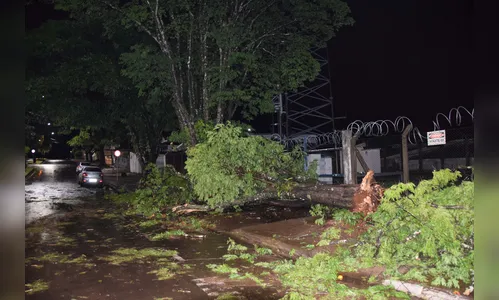 Vendaval destelha casas e causa prejuízos no Vale do Ivaí