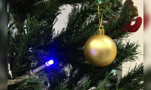 Copel alerta sobre riscos com eletricidade na decoração de Natal