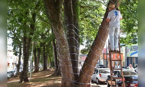 Iluminação natalina será acionada hoje em Ivaiporã