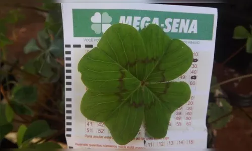 Aposta única de Curitiba leva o prêmio de mais de R$ 100 mi da Mega-Sena