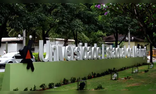 STF nega agravo e garante autonomia para UEL e UEM