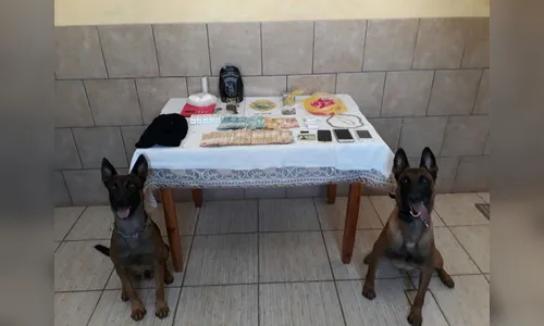 Cães farejadores encontram cocaína, maconha e R$ 13 mil escondidos em guarda-roupa