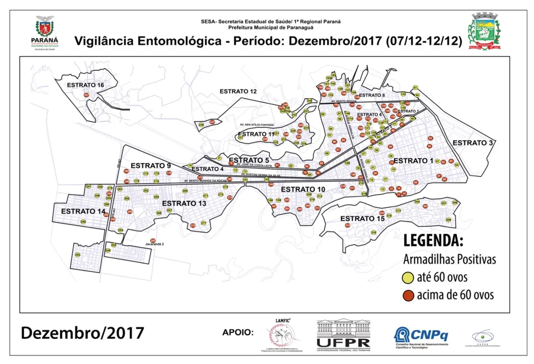 Monitoramento revela infestação de Aedes aegypti em Paranaguá