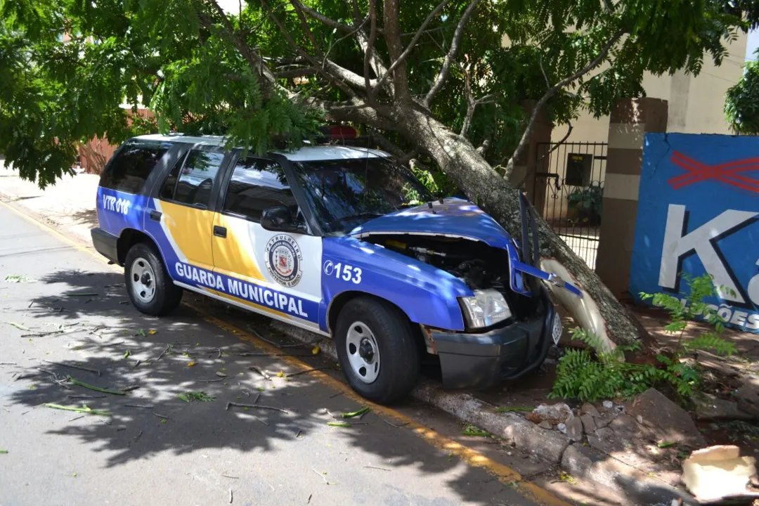 GM colidiu viatura contra uma árvore neste domingo. Foto: Fato AtuAL