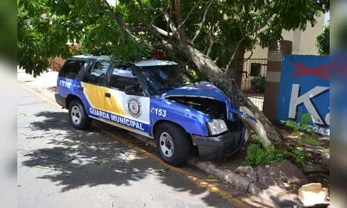 GM colide viatura contra árvore durante perseguição em Arapongas