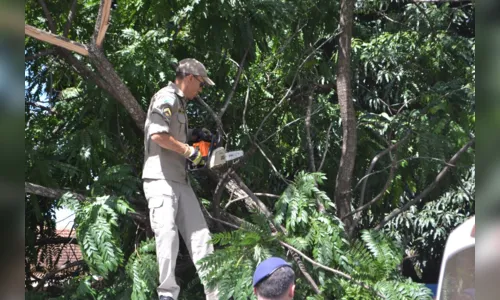 
							GM colide viatura contra árvore durante perseguição em Arapongas
						
						