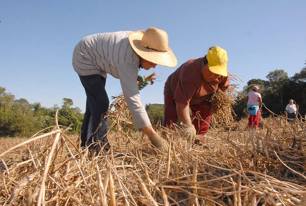 Agricultura investe R$ 130 milhões em programas sociais