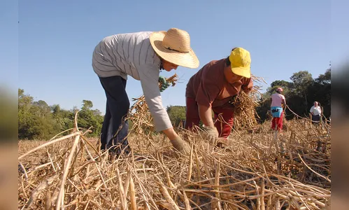 Agricultura investe R$ 130 milhões em programas sociais