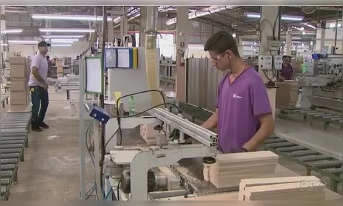 Indústria moveleira reage e volta crescer em Arapongas