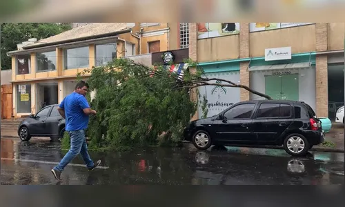 Chuva causa estragos em Londrina