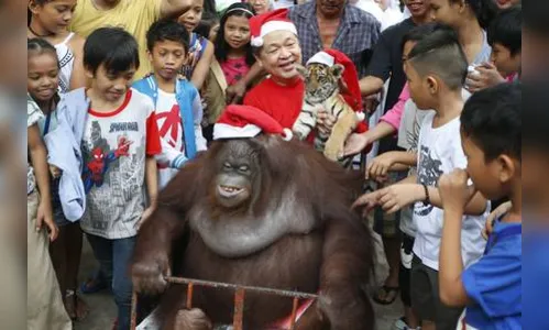 Crianças órfãs celebram o Natal em zoo nas Filipinas com animais 'vestidos' de Papai Noel