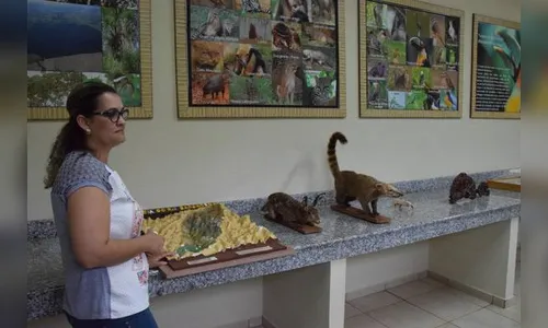 Preservação ambiental gera ‘recurso verde’ para municípios