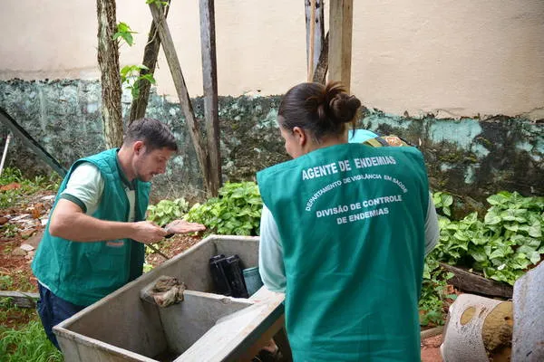 Agentes de endemias intensificam ações de controle da dengue em Apucarana - Foto: Tribuna do Norte