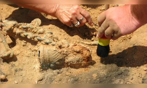 Fóssil de preguiça gigantesco da 'era do gelo' é encontrado em praia argentina, veja o vídeo
