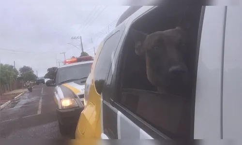 Três fugitivos da cadeia de Marilândia são recapturados 