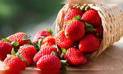 Conheça os alimentos que melhoram o aspecto da pele