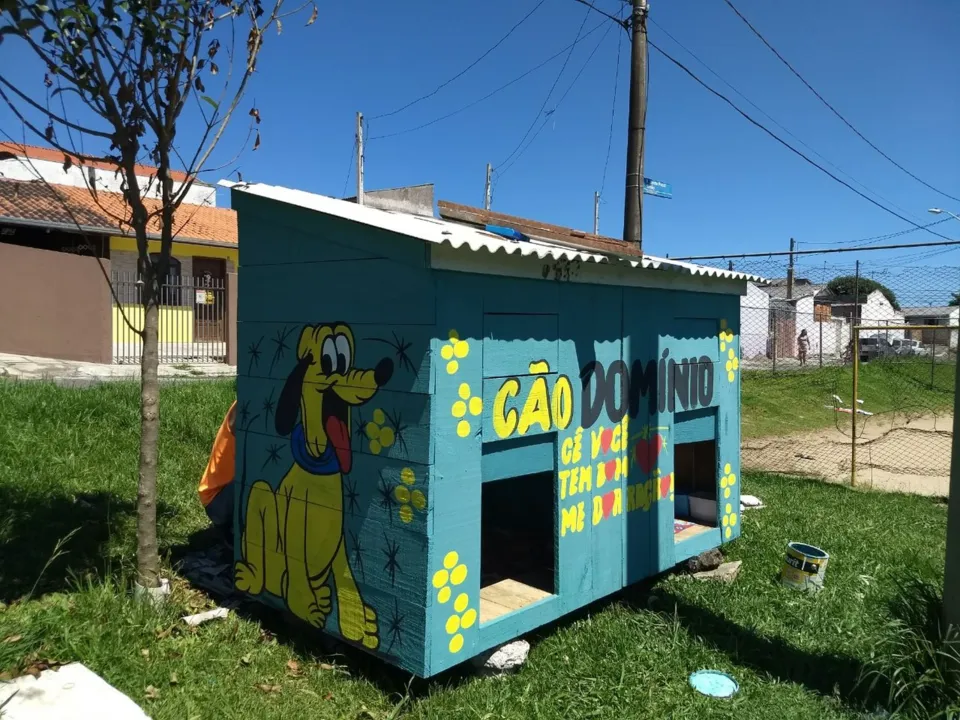 Projeto 'cãodomínio' abriga animais de rua em Curitiba (Foto: Adriana Justi/G1