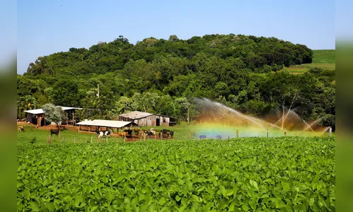 Programa Microbacias traz melhorias a 16 mil propriedades