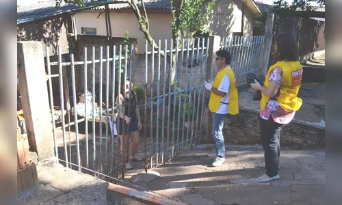 Lira aponta risco médio de infestação em Arapongas