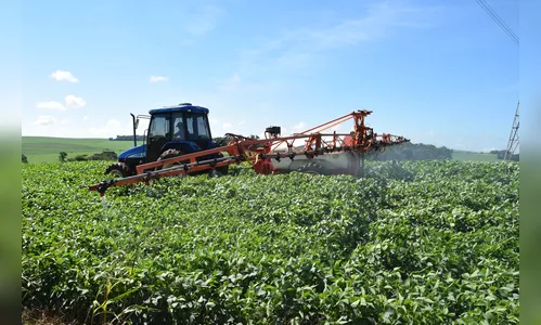 Chuva favorece soja e milho na região