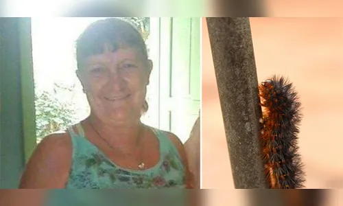 Mulher sofre com sintomas e morre dias após encostar em bicho cabeludo na divisa com Paraná