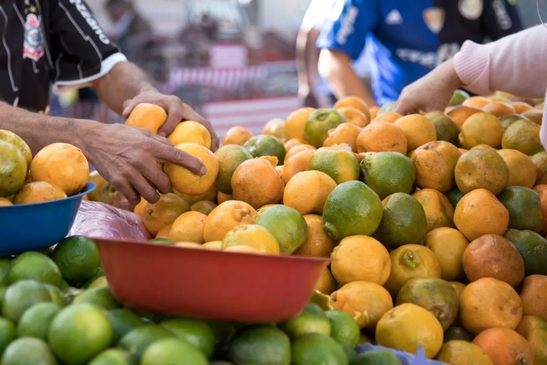 Com o aumento da safra, preços das frutas tiveram forte queda. (Foto: Marcelo Brandt/G1)