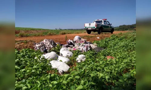 
							GDA contabiliza 853 atendimentos em Arapongas durante 2017
						
						