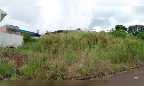 Prefeitura chama a atenção sobre a limpeza de terrenos em Borrazópolis