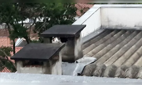 Bombeiros resgatam gata presa em chaminé de churrasqueira 