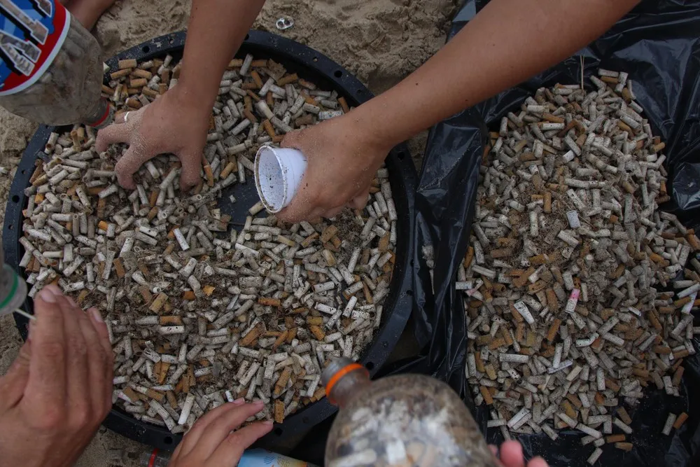 Durante o mutirão, foram recolhidas 8.919 bitucas de cigarro em Itanhaém, SP (Foto: Divulgação/Prefeitura de Itanhaém)
