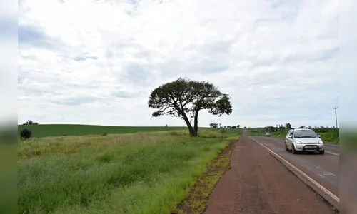Cense vai injetar R$ 20 mi em Ivaiporã