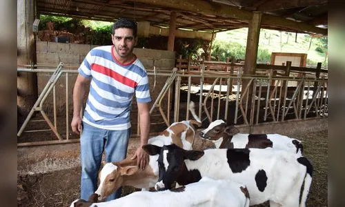 Produção de leite exige profissionalização