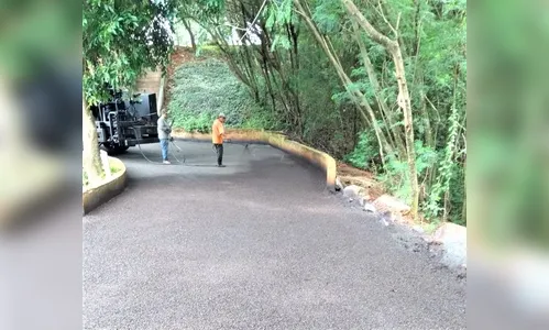 Parque dos Pássaros tem pista de caminhada revitalizada