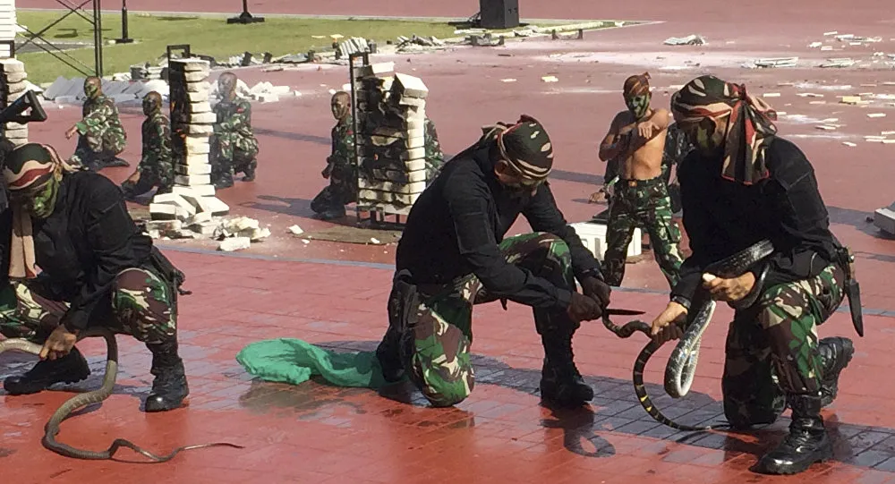 Forças especiais indonésias mostram ao chefe do Pentágono como manipular cobras venenosas - Foto: Robert Burns/AP