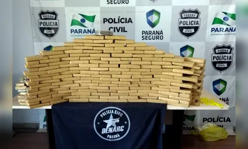 Denarc apreendeu em 2017 mais de 68 toneladas de drogas