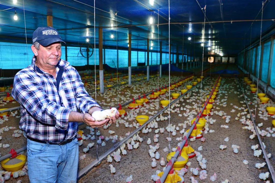 Antonio Sérgio Danas iniciou a avicultura há 10 anos - Delair Garcia
