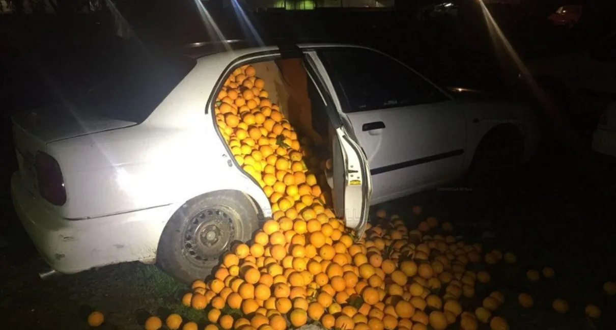Polícia para carros abarrotados de laranjas na Espanha (Foto: Emergencias Sevilla/Twitter)