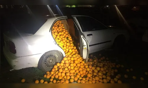 Polícia para carros abarrotados de laranjas na Espanha
