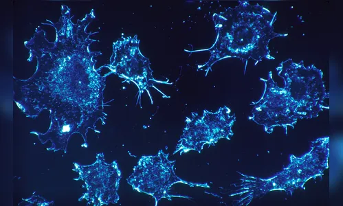 Mortes por câncer devem chegar a 9,6 milhões neste ano, estima OMS