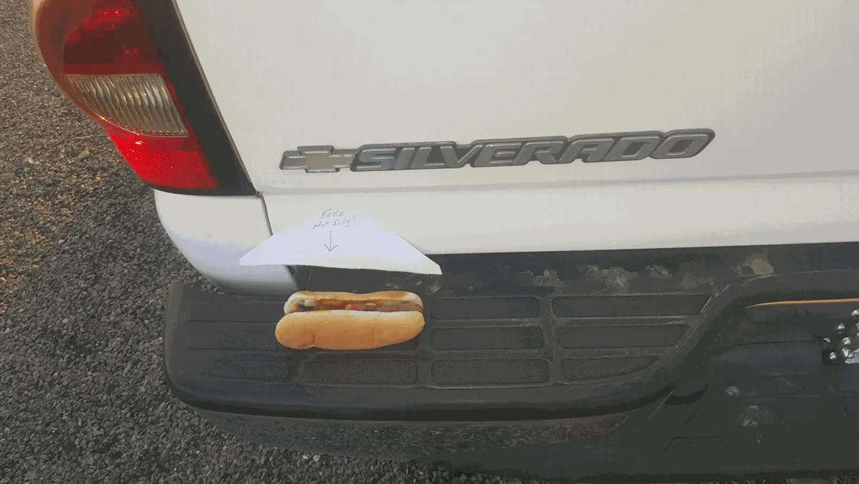 'Cachorro-quente grátis' no para-choques livra motorista de multa nos EUA (Foto: Brown County, Texas Sheriff's Office/Facebook)