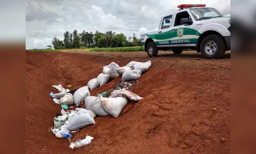 Grupamento de Defesa Ambiental intensifica fiscalizações